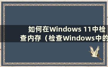 如何在Windows 11中检查内存（检查Windows中的内存插槽）